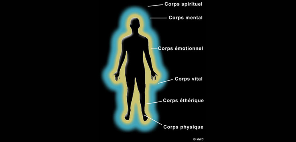 Les sept corps énergétiques
